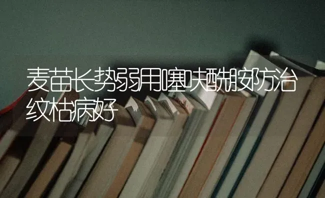 麦苗长势弱用噻呋酰胺防治纹枯病好 | 养殖技术大全