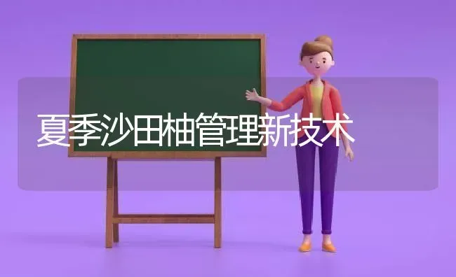 夏季沙田柚管理新技术 | 养殖技术大全