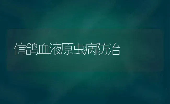 信鸽血液原虫病防治 | 养殖知识