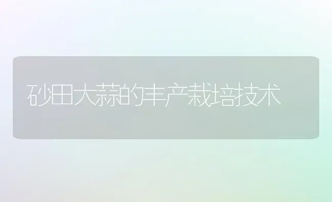 砂田大蒜的丰产栽培技术 | 养殖技术大全