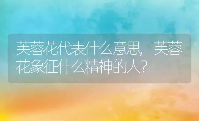 芙蓉花代表什么意思,芙蓉花象征什么精神的人？ | 养殖科普