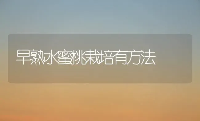 早熟水蜜桃栽培有方法 | 养殖技术大全