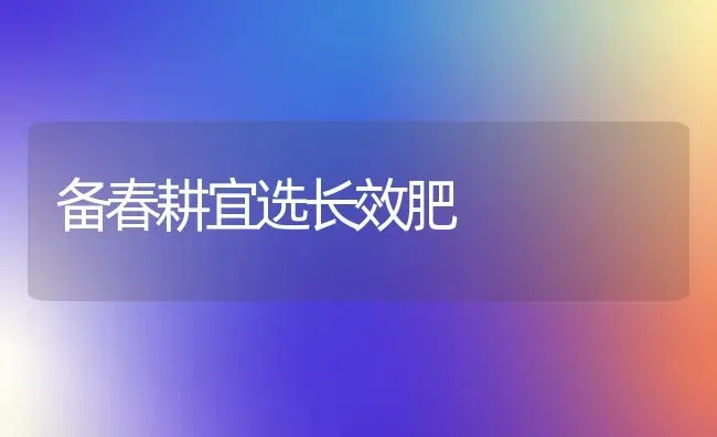 备春耕宜选长效肥 | 养殖知识