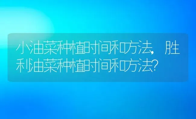 小油菜种植时间和方法,胜利油菜种植时间和方法？ | 养殖科普