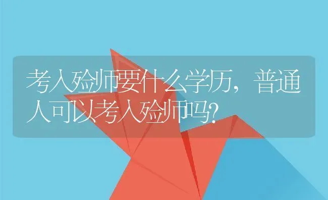 考入殓师要什么学历,普通人可以考入殓师吗？ | 养殖科普