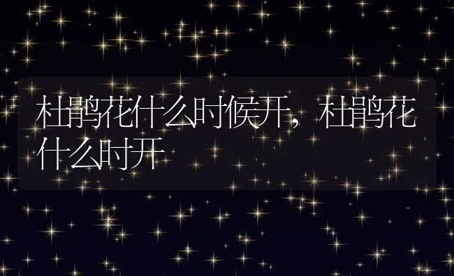 杜鹃花什么时候开,杜鹃花什么时开 | 养殖学堂