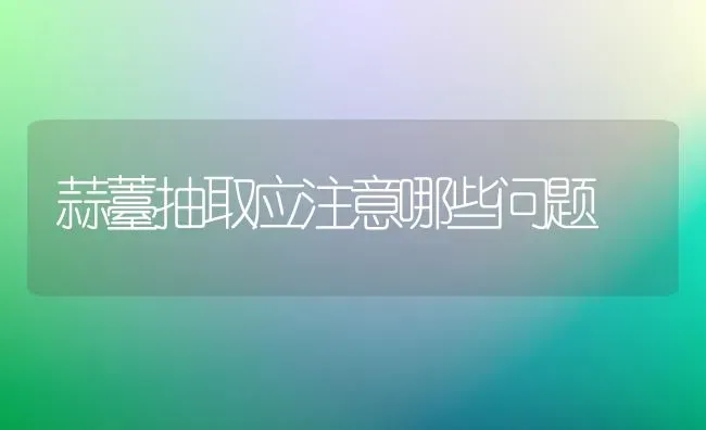 蒜薹抽取应注意哪些问题 | 养殖知识