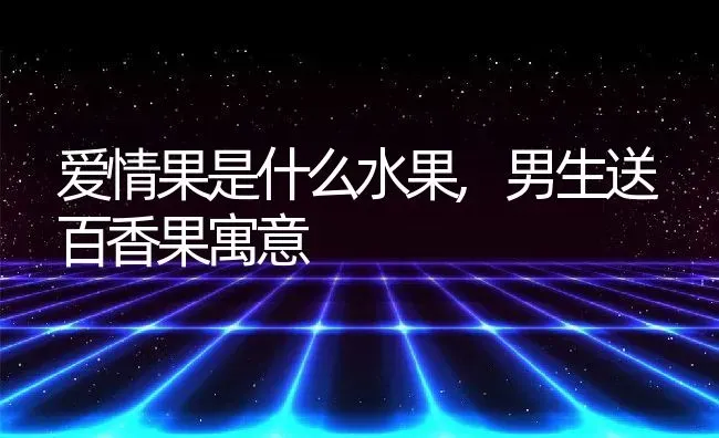 爱情果是什么水果,男生送百香果寓意 | 养殖学堂