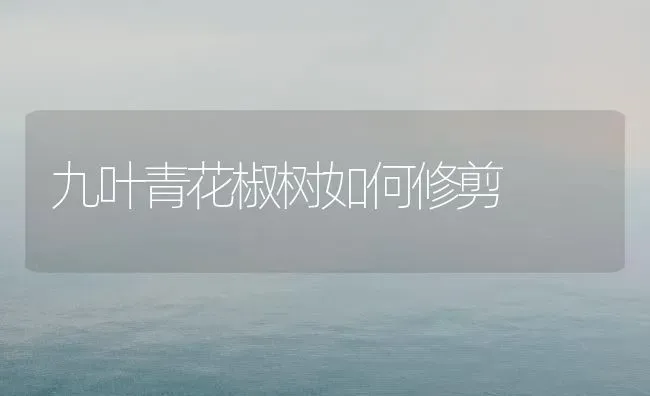 九叶青花椒树如何修剪 | 养殖技术大全