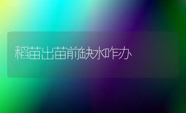 稻苗出苗前缺水咋办 | 养殖技术大全