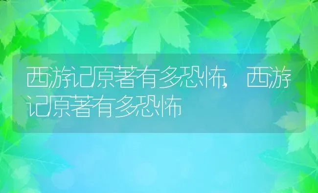 西游记原著有多恐怖,西游记原著有多恐怖 | 养殖科普