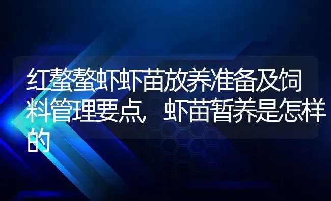 红螯螯虾虾苗放养准备及饲料管理要点,虾苗暂养是怎样的 | 养殖学堂