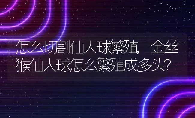 怎么切割仙人球繁殖,金丝猴仙人球怎么繁殖成多头？ | 养殖学堂