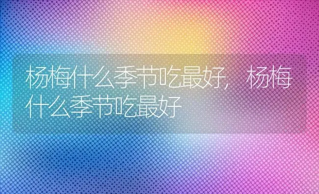 杨梅什么季节吃最好,杨梅什么季节吃最好 | 养殖科普