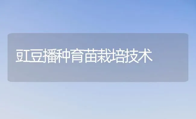 豇豆播种育苗栽培技术 | 养殖知识