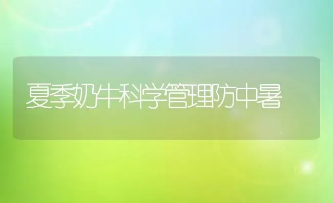 夏季奶牛科学管理防中暑 | 养殖知识