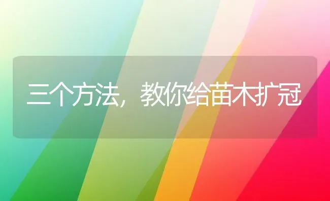 三个方法,教你给苗木扩冠 | 养殖技术大全