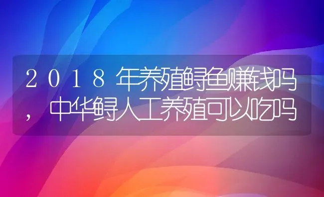 2018年养殖鲟鱼赚钱吗,中华鲟人工养殖可以吃吗 | 养殖学堂