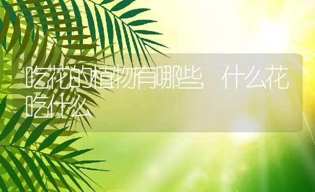 吃花的植物有哪些,什么花吃什么 | 养殖学堂