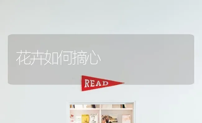 花卉如何摘心 | 养殖技术大全