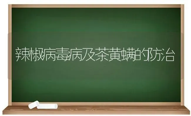 辣椒病毒病及茶黄螨的防治 | 养殖知识