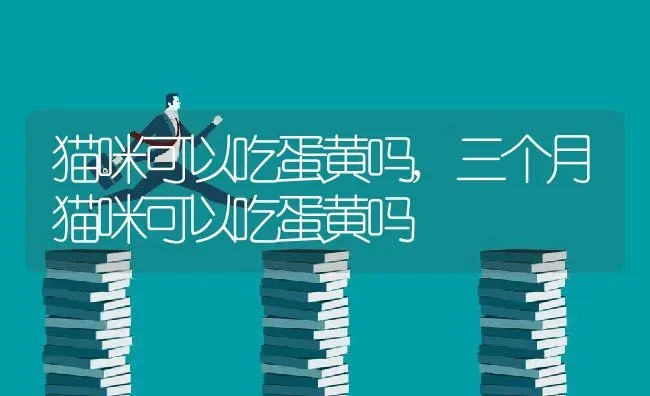 猫咪可以吃蛋黄吗,三个月猫咪可以吃蛋黄吗 | 养殖资料