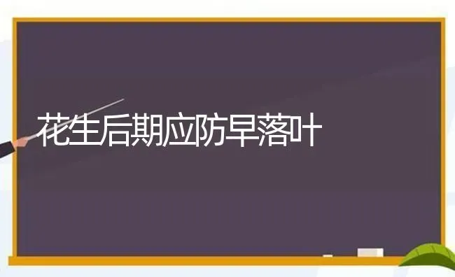 花生后期应防早落叶 | 养殖知识