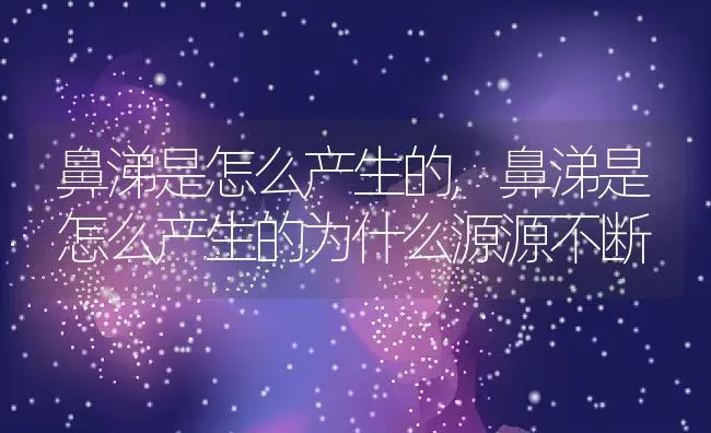 鼻涕是怎么产生的,鼻涕是怎么产生的为什么源源不断 | 养殖科普