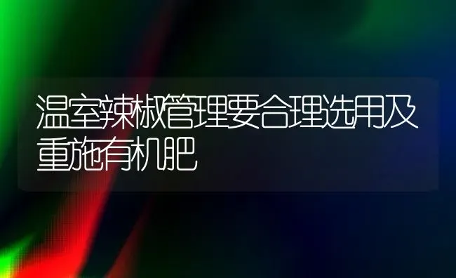 温室辣椒管理要合理选用及重施有机肥 | 养殖知识