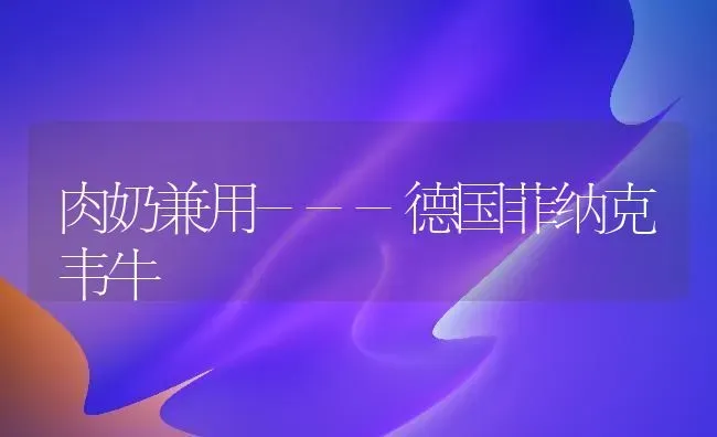 肉奶兼用---德国菲纳克韦牛 | 养殖技术大全