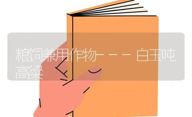 粮饲兼用作物---白玉吨高粱 | 养殖技术大全