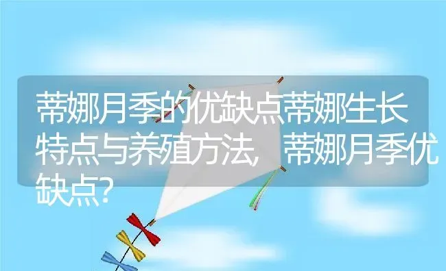 蒂娜月季的优缺点蒂娜生长特点与养殖方法,蒂娜月季优缺点？ | 养殖科普