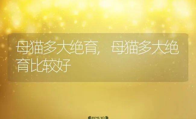 母猫多大绝育,母猫多大绝育比较好 | 养殖科普