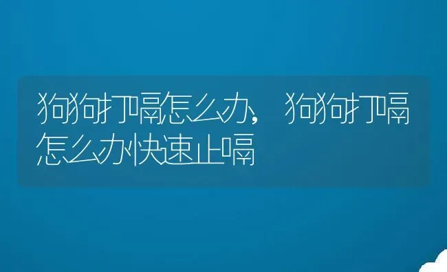 狗狗打嗝怎么办,狗狗打嗝怎么办快速止嗝 | 养殖科普