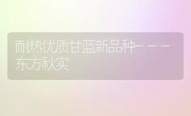 耐热优质甘蓝新品种---东方秋实 | 养殖技术大全