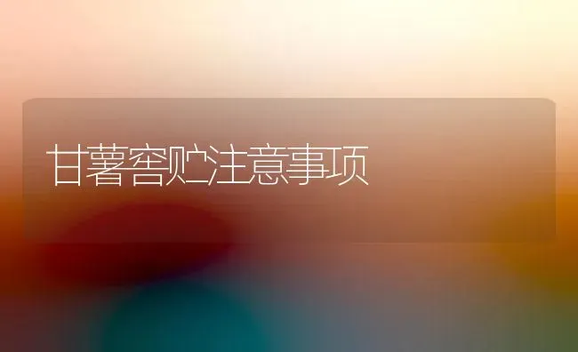 甘薯窖贮注意事项 | 养殖技术大全