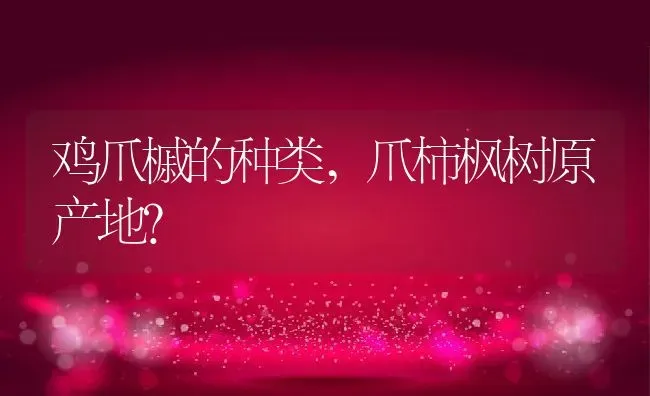 兔子的耳朵有什么作用,兔子的耳朵有什么作用和特点蚂蚁 | 养殖科普