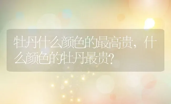 牡丹什么颜色的最高贵,什么颜色的牡丹最贵？ | 养殖学堂