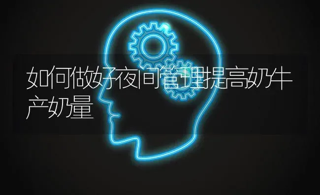 如何做好夜间管理提高奶牛产奶量 | 养殖知识