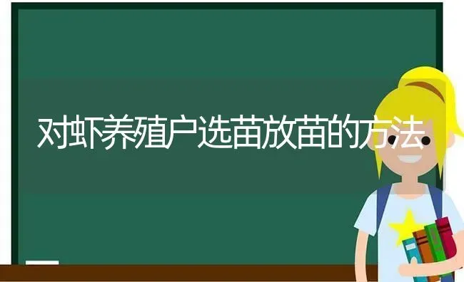 对虾养殖户选苗放苗的方法 | 养殖技术大全