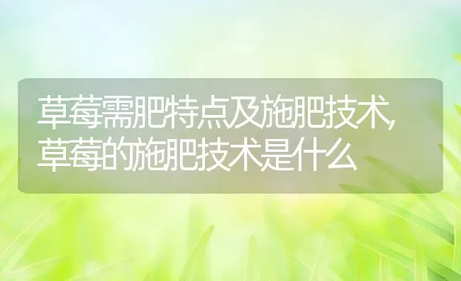 草莓需肥特点及施肥技术,草莓的施肥技术是什么 | 养殖学堂