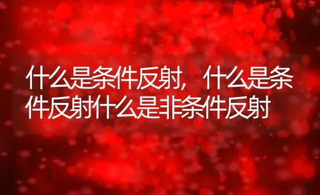 什么是条件反射,什么是条件反射什么是非条件反射 | 养殖资料