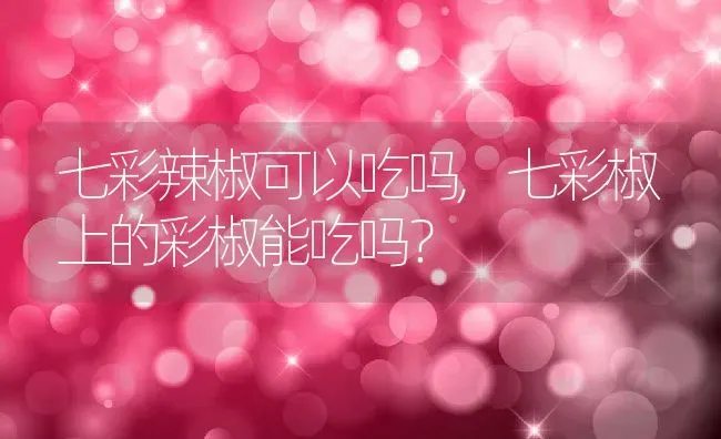 七彩辣椒可以吃吗,七彩椒上的彩椒能吃吗？ | 养殖科普
