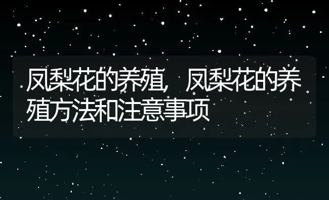 凤梨花的养殖,凤梨花的养殖方法和注意事项 | 养殖科普