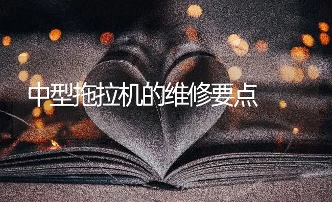 中型拖拉机的维修要点 | 养殖知识