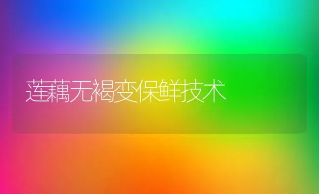 莲藕无褐变保鲜技术 | 养殖技术大全
