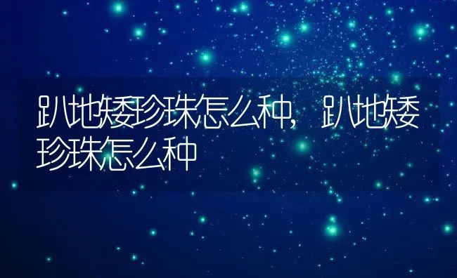 趴地矮珍珠怎么种,趴地矮珍珠怎么种 | 养殖科普