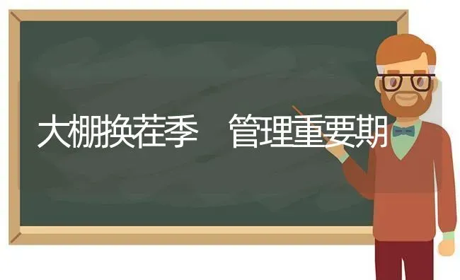 大棚换茬季 管理重要期 | 养殖技术大全