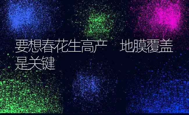 要想春花生高产 地膜覆盖是关键 | 养殖知识