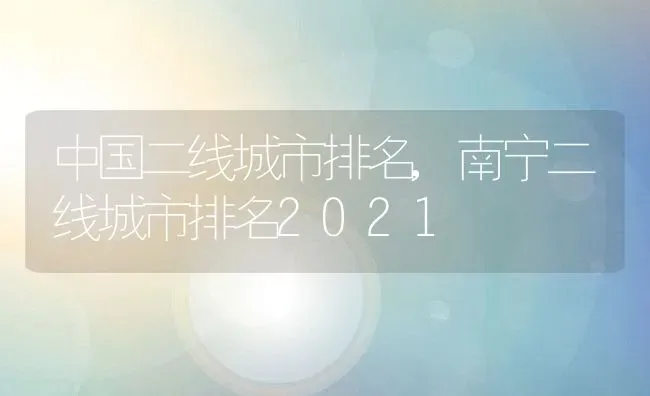 中国二线城市排名,南宁二线城市排名2021 | 养殖学堂